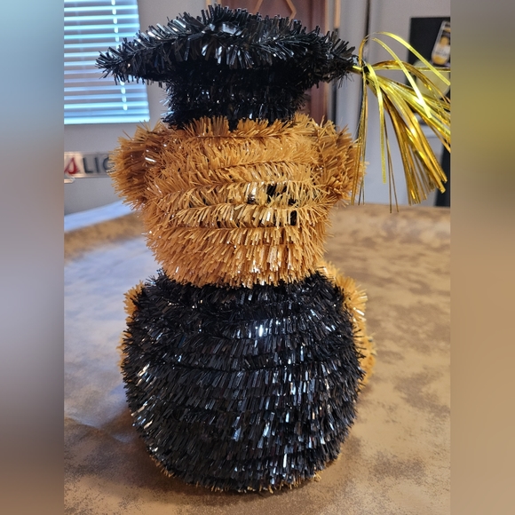 Graduation Decorations - Picture 4 of 7